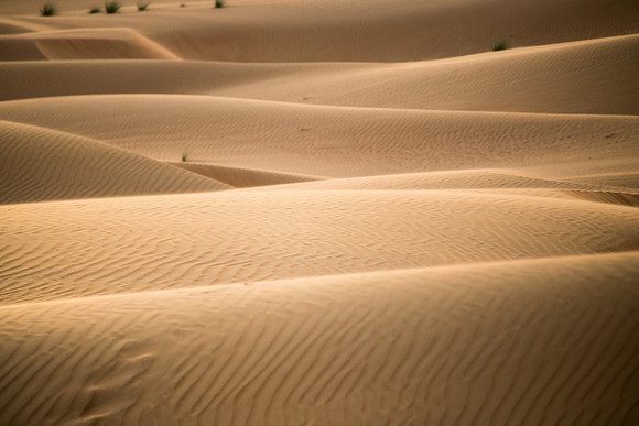 Désert Oman-5810