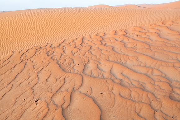 Désert Oman-5978