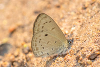 Una usta-6049