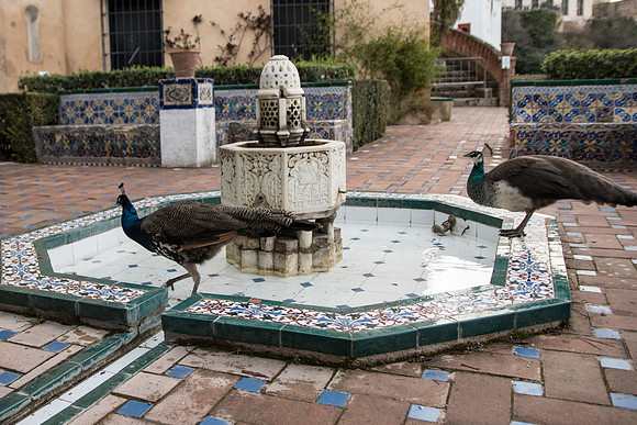 Ronda_8228- Palacio Mondragon