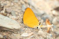 Ticherra acte-1668 - Chiang Dao - 18/03/25
