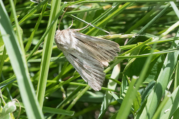 DSC_8476